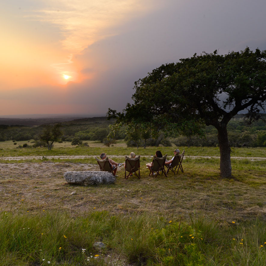 Four friends in chairs enjoying the sunset by an oak tree in a beautiful field.