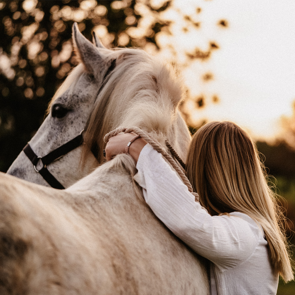 Woman embracing a white horse at sunset, highlighting a tranquil and intimate moment.