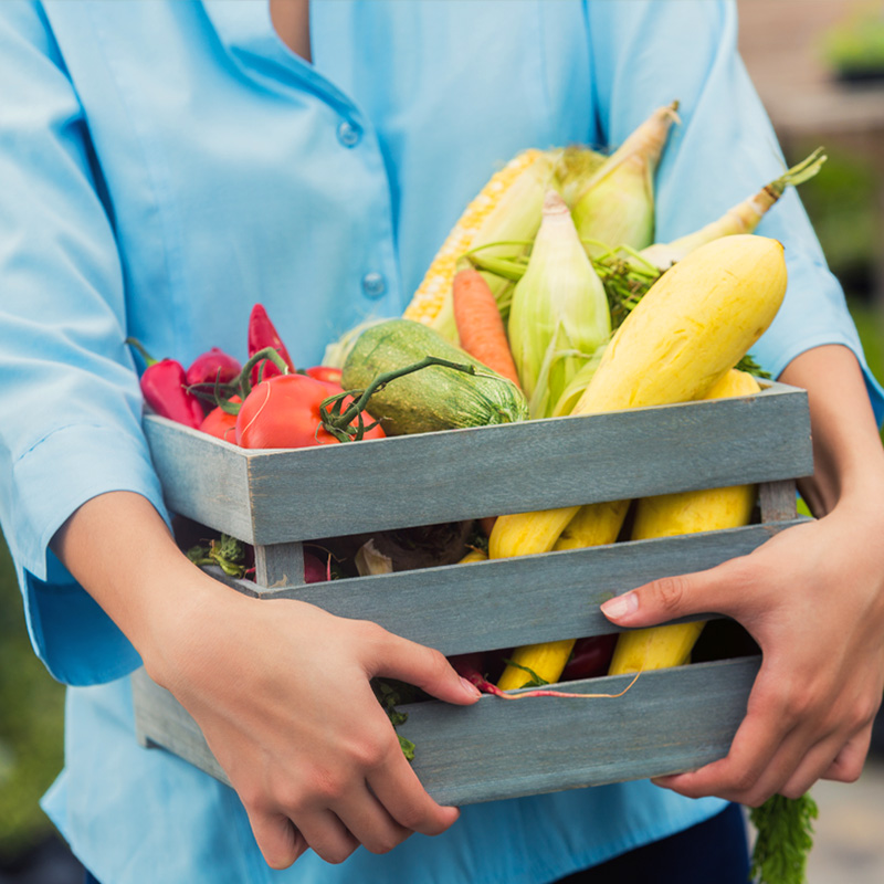 A person wearing a light blue shirt holds a wooden crate filled with a variety of fresh vegetables, including yellow squash, tomatoes, corn, carrots, zucchini, and chili peppers. The vibrant colors of the produce contrast with the neutral tones of the crate and clothing, suggesting a harvest or farmers market setting.