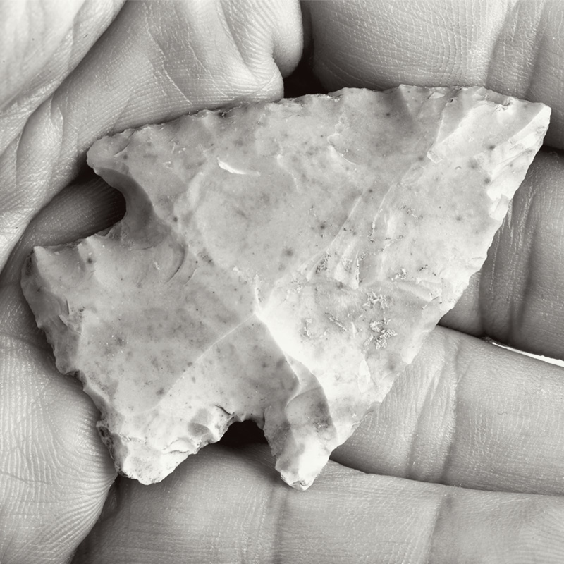 A black-and-white close-up photograph of a hand holding an arrowhead, showcasing the arrowhead’s sharp edges and rough texture. The lines and creases in the hand add to the detail of the natural artifact.