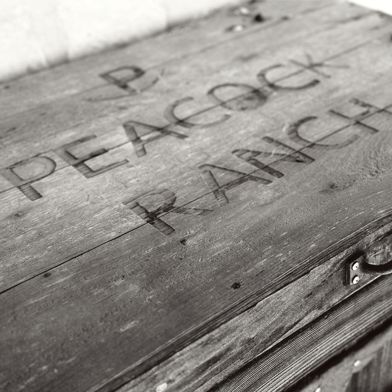 A close-up black-and-white photo of a wooden surface with the words 'Peacock Ranch' carved into it. The texture of the wood is worn, giving it a rustic and weathered appearance